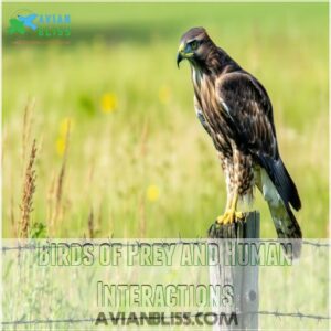 Birds of Prey and Human Interactions