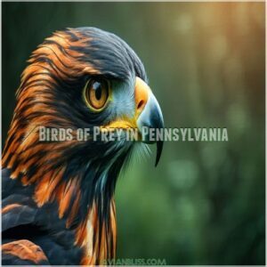 Birds of Prey in Pennsylvania