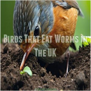 Birds That Eat Worms in The UK