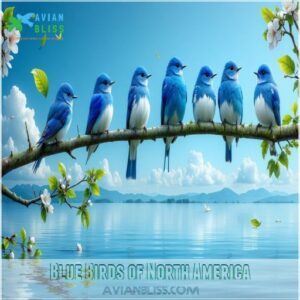 Blue Birds of North America