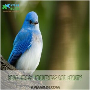 Blue Birds: Uniqueness and Beauty