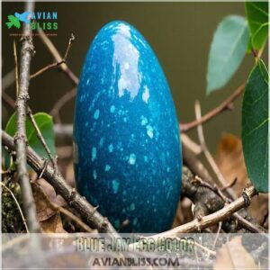 Blue Jay Egg Color