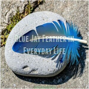 Blue Jay Feather in Everyday Life