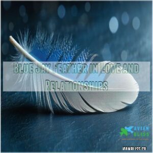 Blue Jay Feather in Love and Relationships