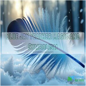 Blue Jay Feather Magic and Symbolism