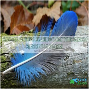 blue jay feather meaning