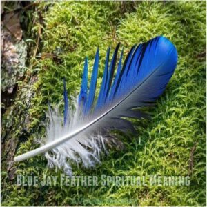 Blue Jay Feather Spiritual Meaning