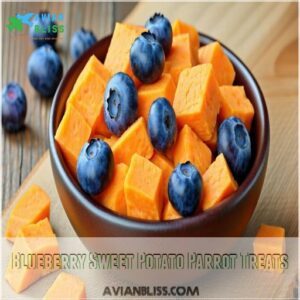 Blueberry Sweet Potato Parrot Treats