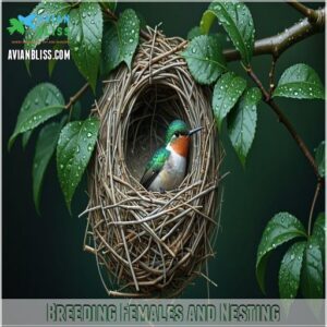 Breeding Females and Nesting