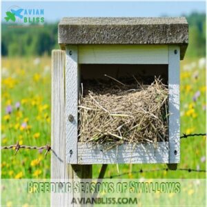 Breeding Seasons of Swallows