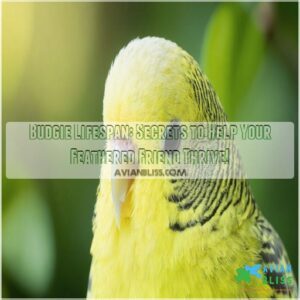 budgie lifespan