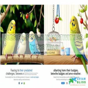 Budgie Lifespan in Captivity Vs. In The Wild