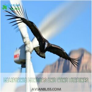 California Condors and Wind Turbines