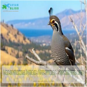 California Quail Cultural Significance