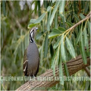 California Quail Habitat and Distribution