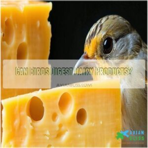 Can Birds Digest Dairy Products