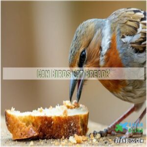 Can Birds Eat Bread