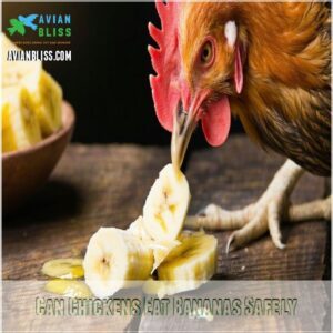 Can Chickens Eat Bananas Safely