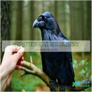 Can Ravens Talk Like Humans