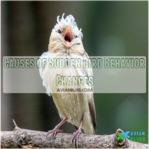 Causes of Sudden Bird Behavior Changes