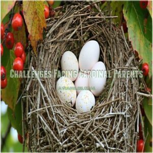 Challenges Facing Cardinal Parents