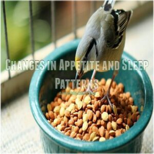 Changes in Appetite and Sleep Patterns