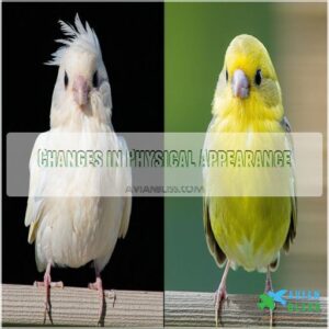 Changes in Physical Appearance