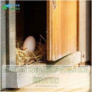 Chicken Egg Laying Cycle and Duration