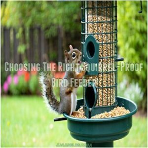 Choosing The Right Squirrel-Proof Bird Feeder