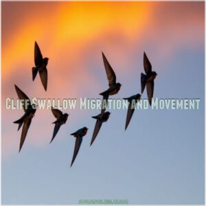 Cliff Swallow Migration and Movement