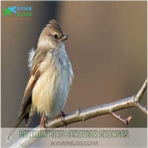 Common Bird Behavior Changes