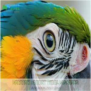 Common Parrot Viral Diseases