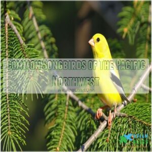 Common Songbirds of The Pacific Northwest