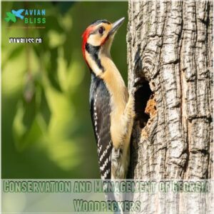 Conservation and Management of Georgia Woodpeckers