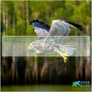 Conservation Efforts for Florida Birds of Prey