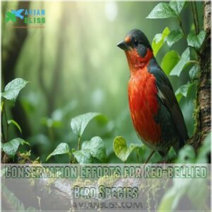 Conservation Efforts for Red-bellied Bird Species