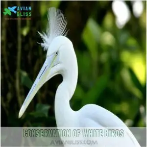 Conservation of White Birds