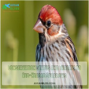 Conservation Status and Threats to Red-Headed Sparrows