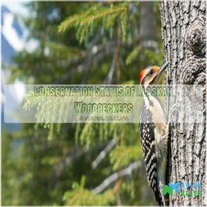 Conservation Status of Alaskan Woodpeckers