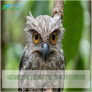 Conservation Status of Great Potoo