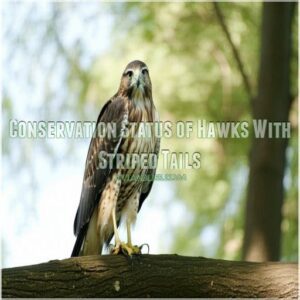 Conservation Status of Hawks With Striped Tails