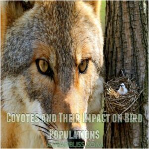 Coyotes and Their Impact on Bird Populations