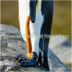 Debunking Myths About Penguin Knees