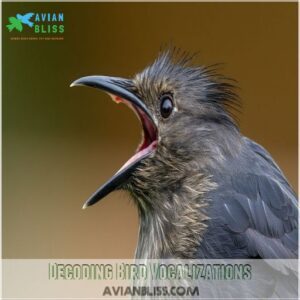 Decoding Bird Vocalizations