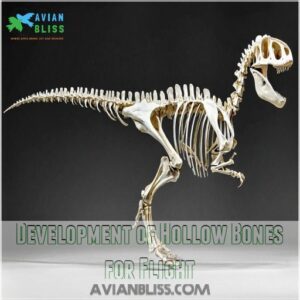 Development of Hollow Bones for Flight