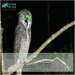 Diet and Hunting Habits of Great Potoo