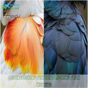 Distinguishing Feather Plucking From Molting