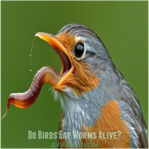 Do Birds Eat Worms Alive