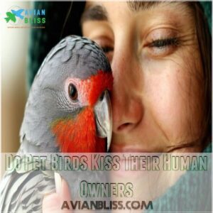 Do Pet Birds Kiss Their Human Owners