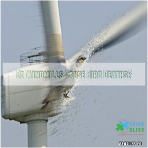 Do Windmills Cause Bird Deaths